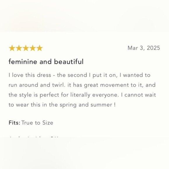 NWT Size XL -Anthropologie Sleeveless V-Neck Lace Slip Midi Dress (NWT US$ 178) - Picture 12 of 17